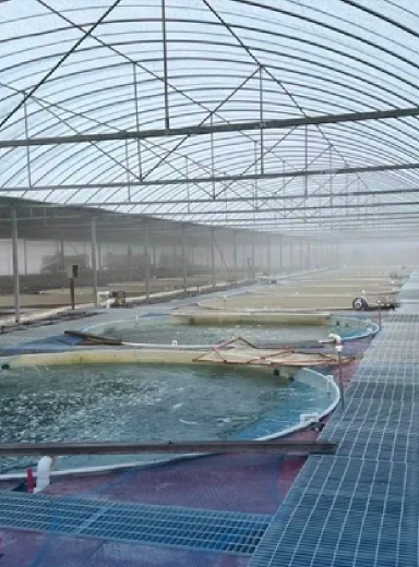 北京中国电力国家级鲟鱼良种场