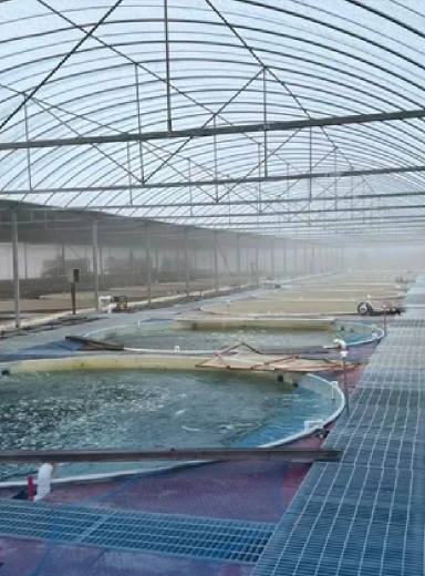 Beijing China Electric Power National Sturgeon Breeding Farm